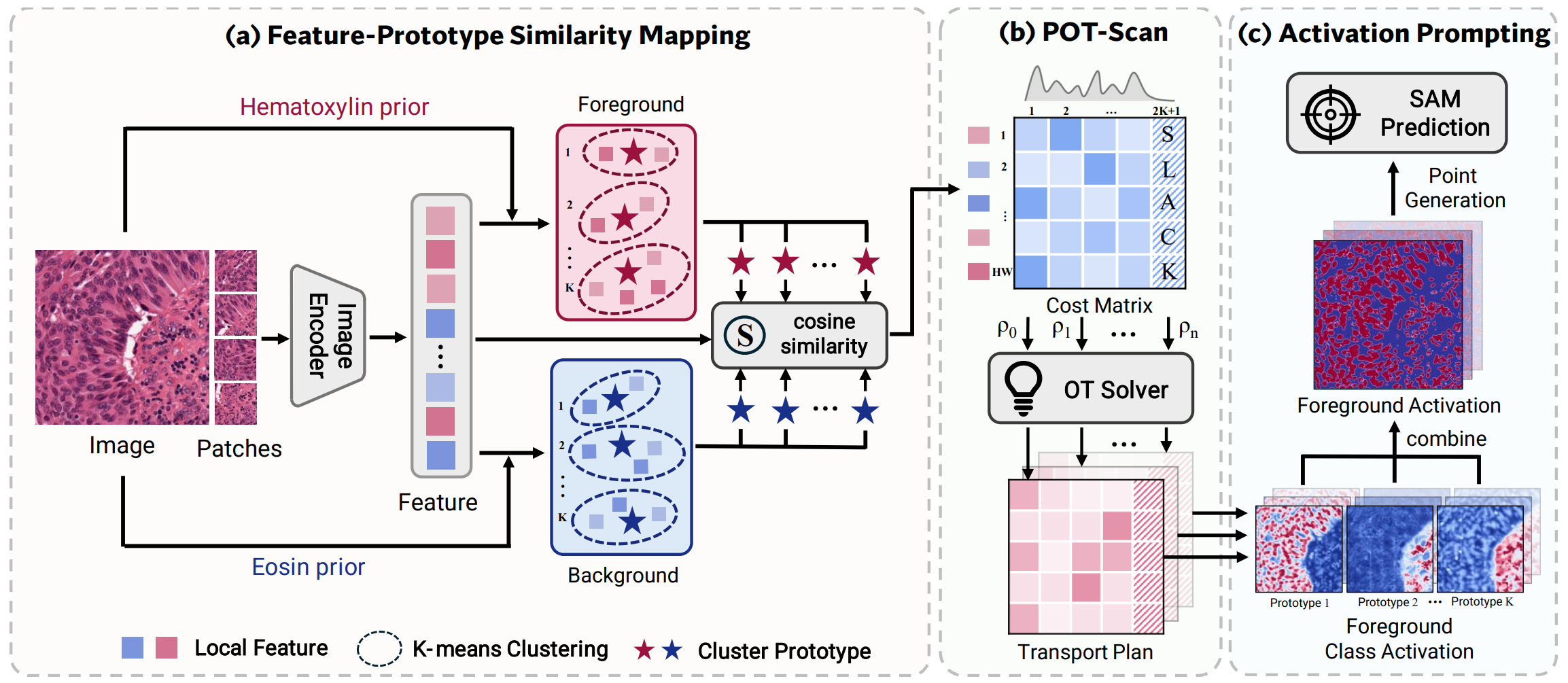 Supervise Less, See More: Training-free Nuclear Instance Segmentation with Prototype-Guided Prompting