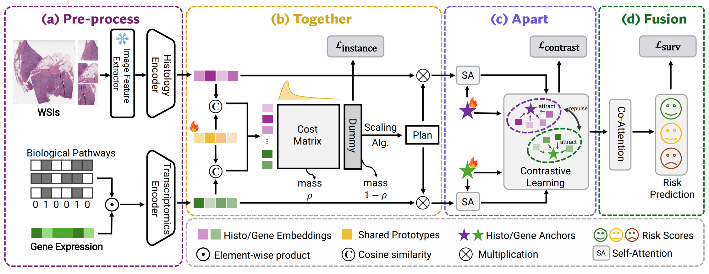 Together, Then Apart: Revisiting Multimodal Survival Analysis via a Min-Max Perspective